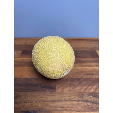 Melon - Galia (each)