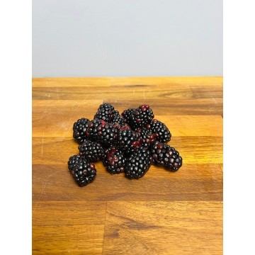 New Season Scottish Black...