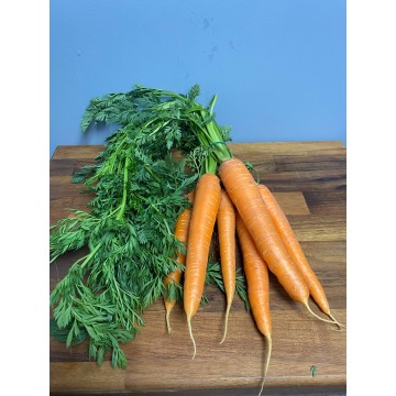 Bunched carrots