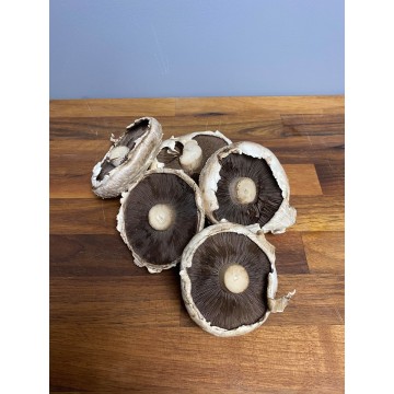 Flat Mushroom (Punnet)