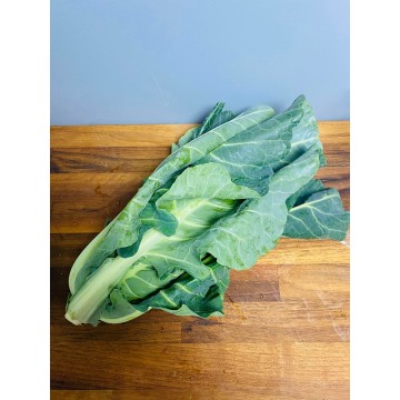 Spring Cabbage (each)