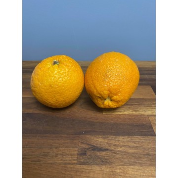 Large Orange (each)