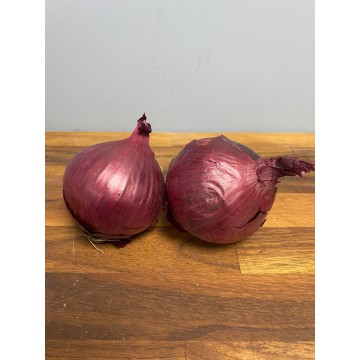 Red Onions per kg