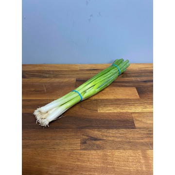 Spring Onion (bunch)