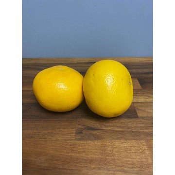 Yellow Grapefruit (each)