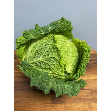 Savoy Cabbage (each)