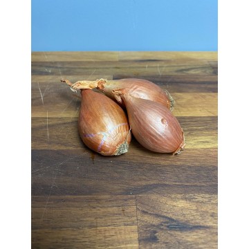 Shallots Round