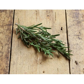 Rosemary 20g Packet