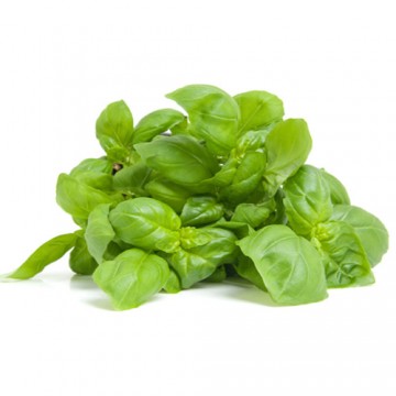 Basil 20g Packet